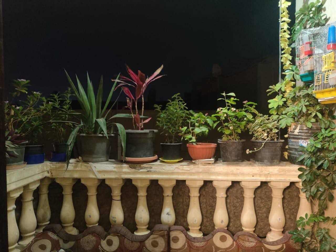 عقار