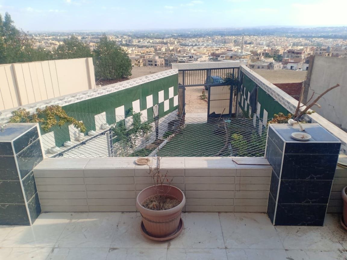 مصغر