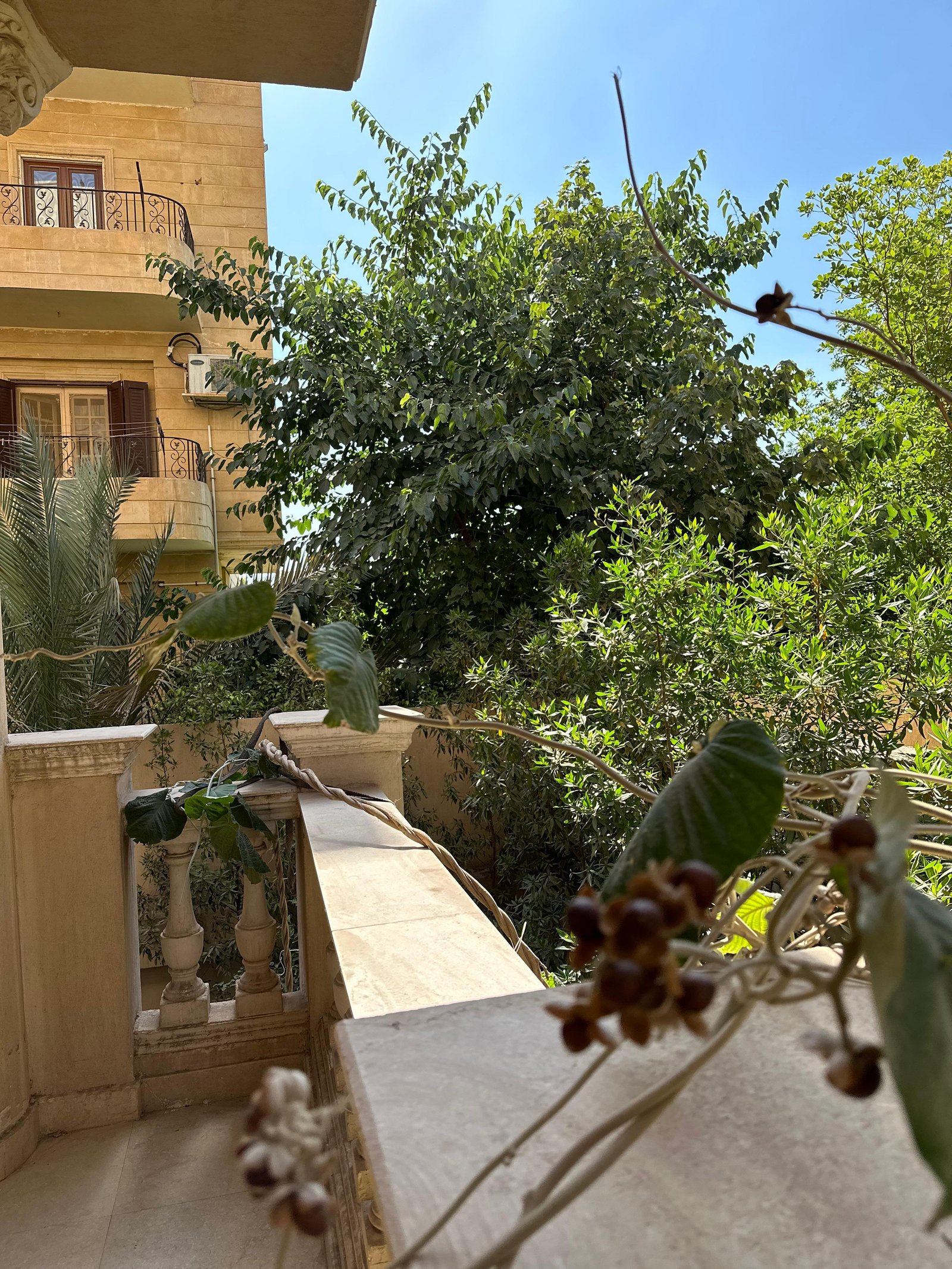 مصغر