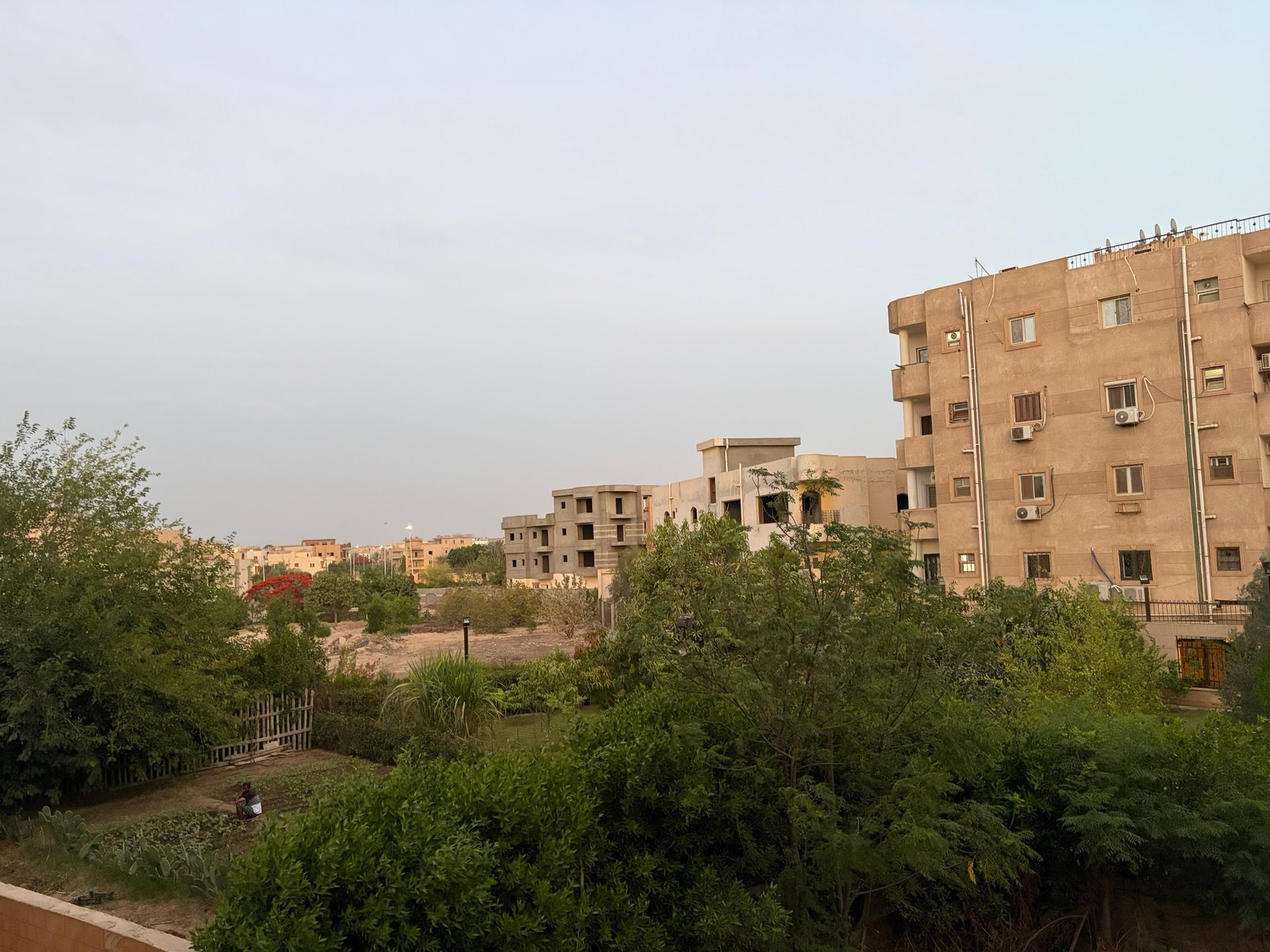 عقار