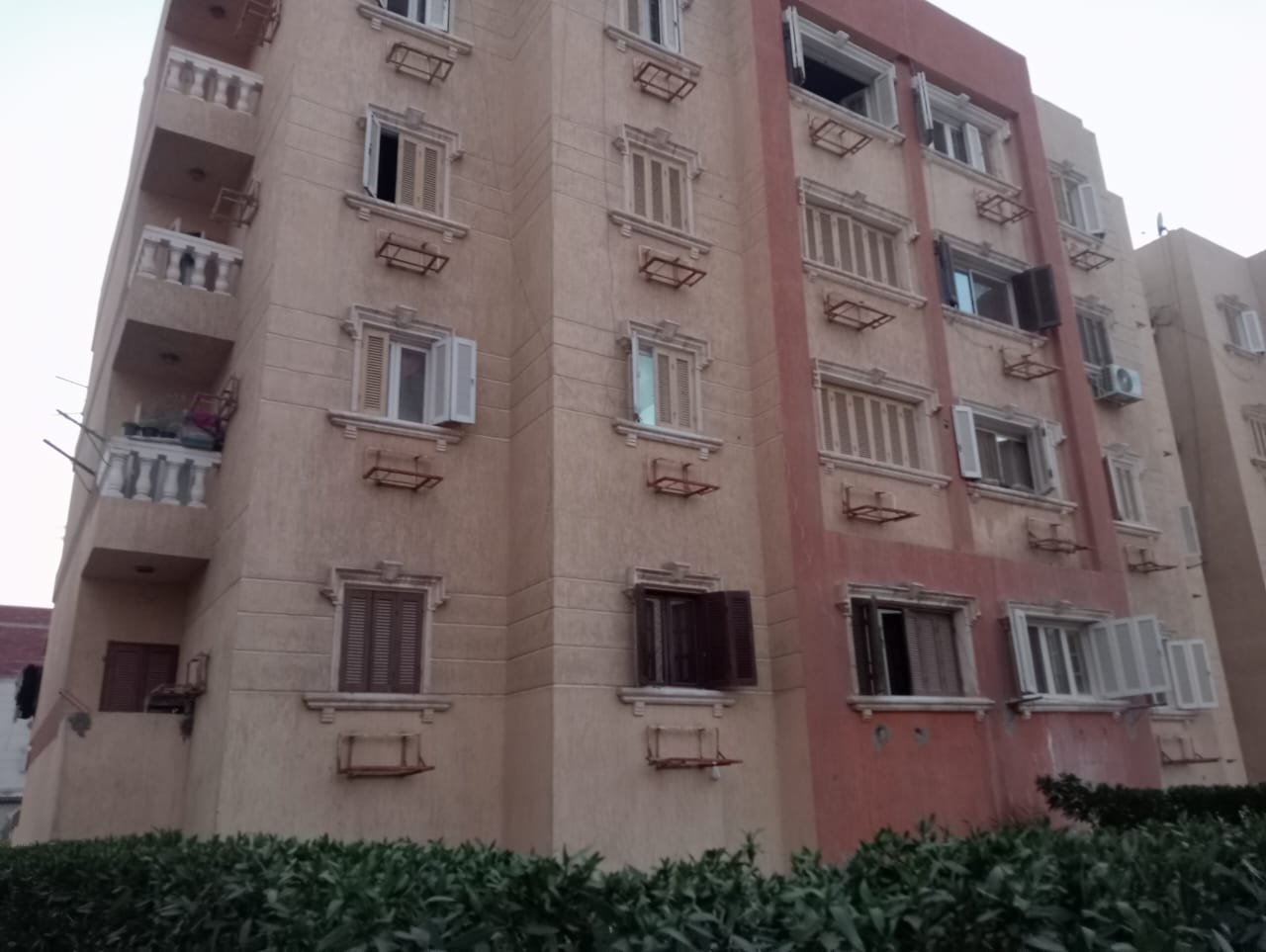 عقار
