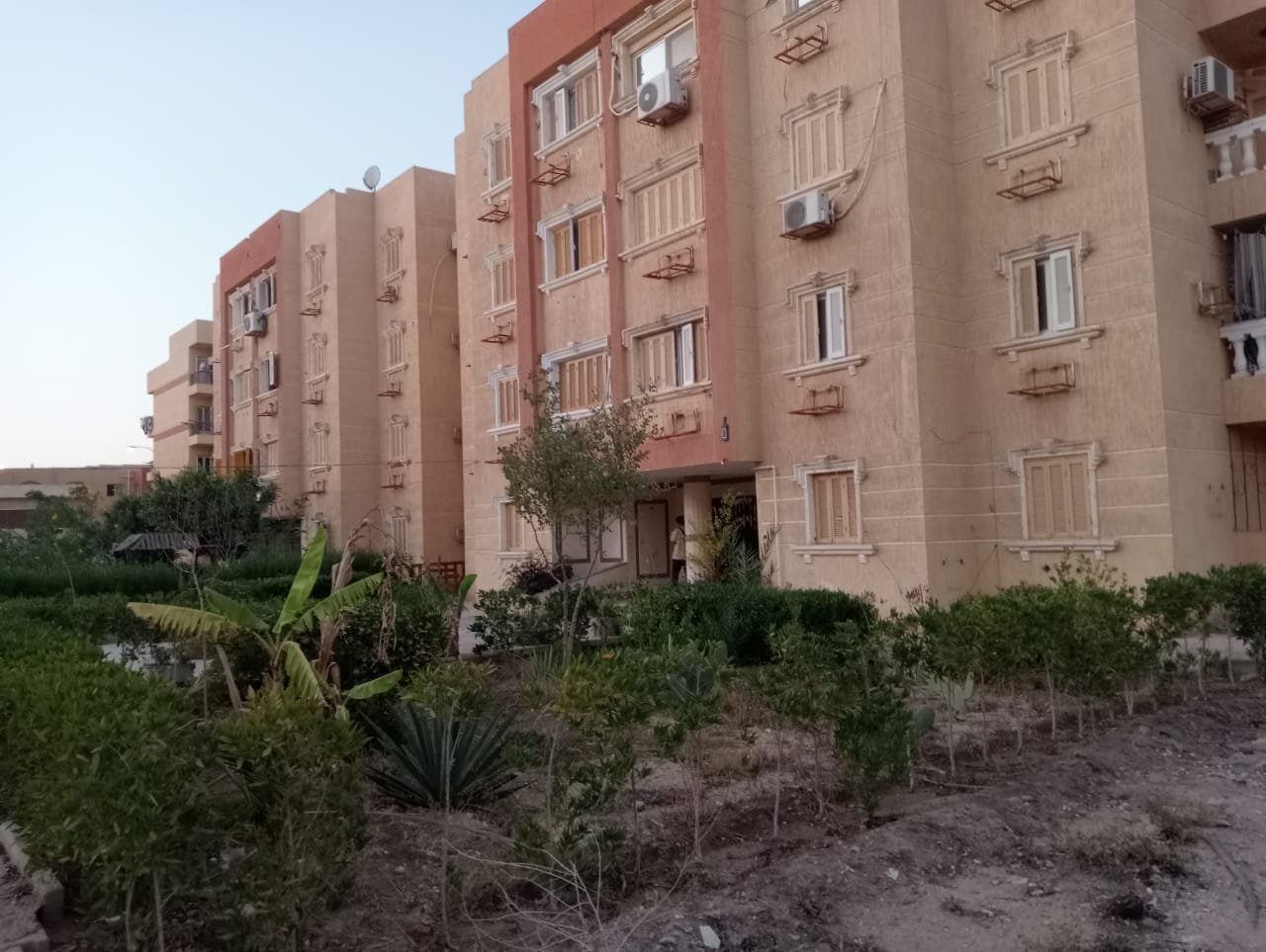 مصغر