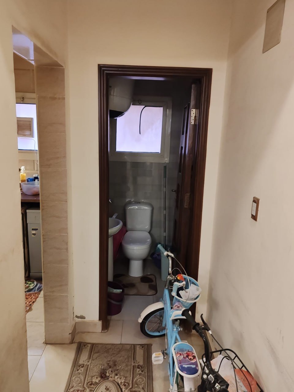 مصغر